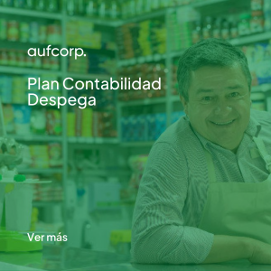 Plan Contabilidad Despega