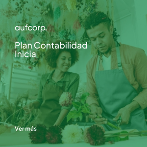 Plan Contabilidad Inicia