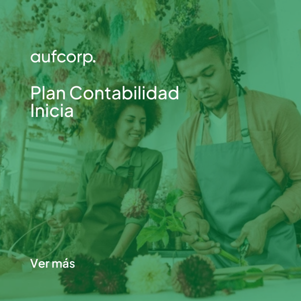 Plan Contabilidad Inicia